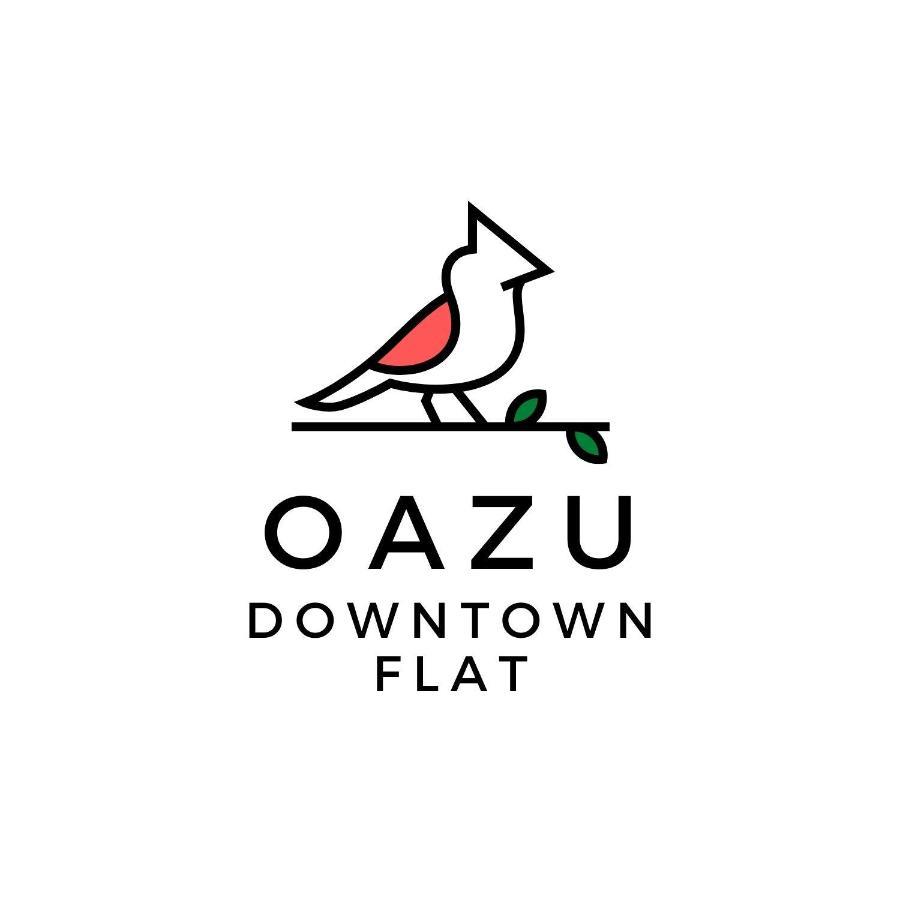 شقة Oazu Downtown Flat بودابست المظهر الخارجي الصورة